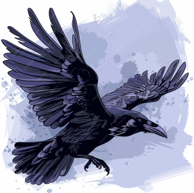 SEO Solutions to Boost Your Google Ranking | Affordable SEO for Small Businesses